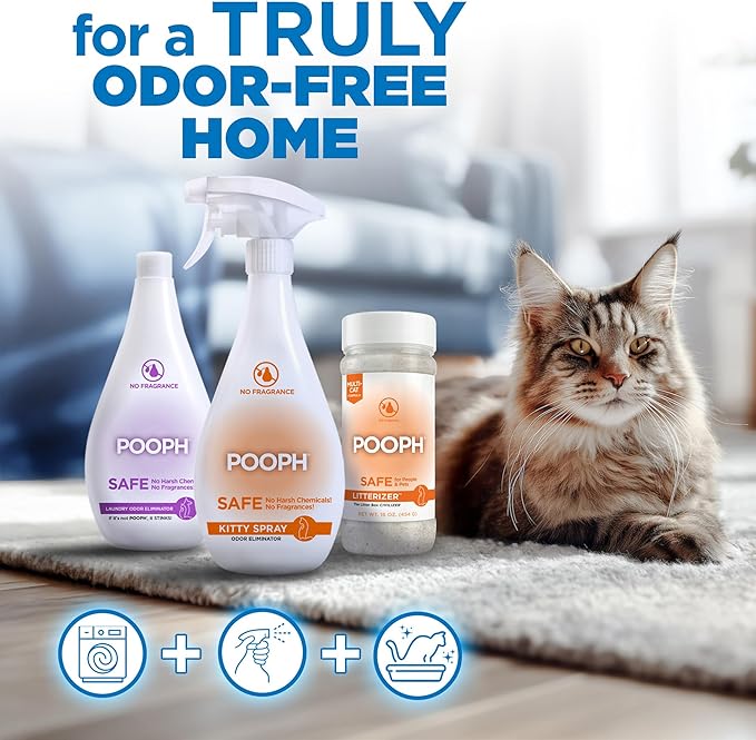 POOPH® LITTERIZER® – 16oz Bottle – Absorbs 46x Weight in Wetness &amp Odor – Keeps Litter Dry Reduces Mess Reduce Litter Costs and Get a Stink-FREELitter Box – Without Fragrances or Harsh Chemicals