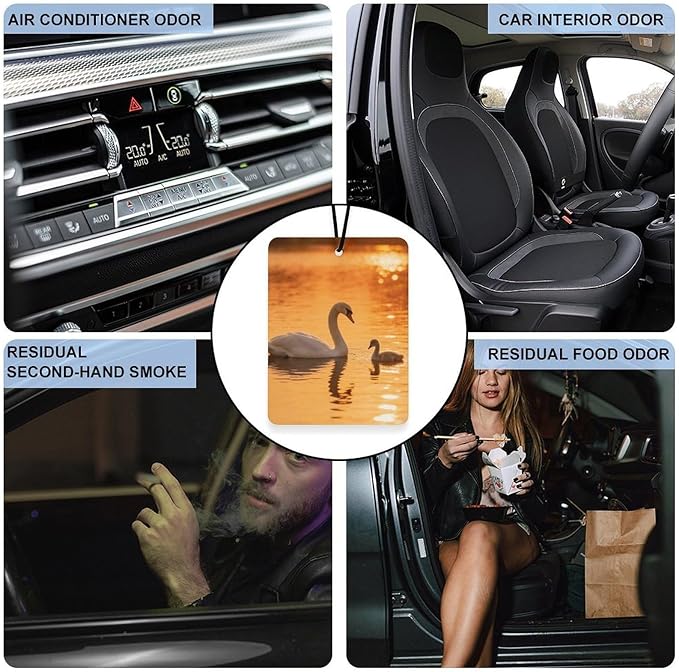 5PCS Car Air Freshener Hanging Personalized Double Sided Swan Cygnets Car Fresheners Long Lasting New Cars Scents Cute Automotive Freshies for Closets Drawers (tea)