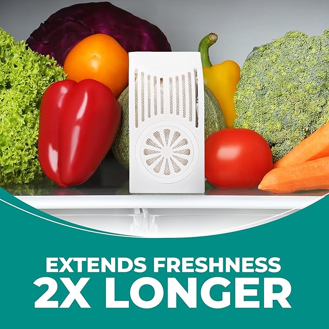 Fresh Home Bundle