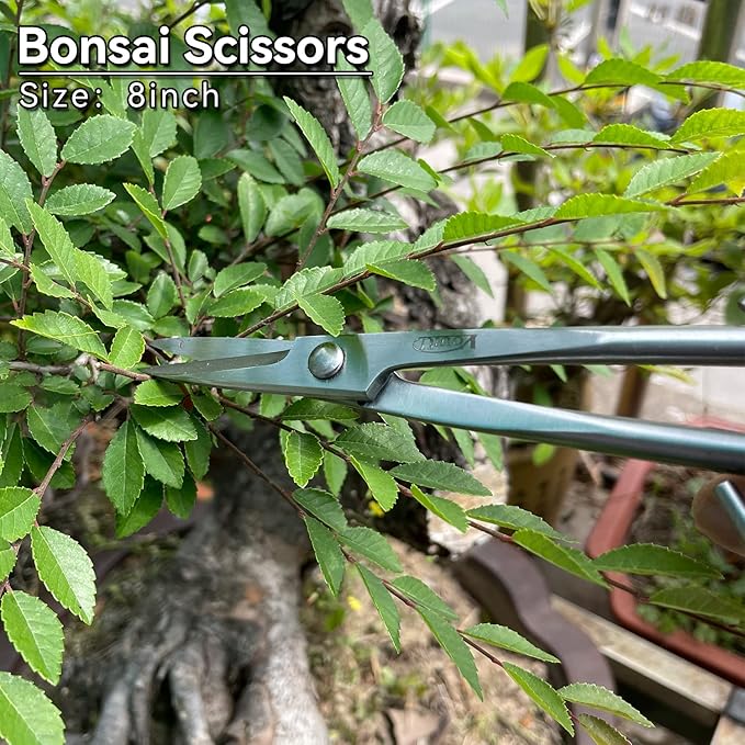 6-Piece Bonsai Tool SetConcave CutterKnob CutterJin PliersWire CutterBonsai Scissors Root Hook