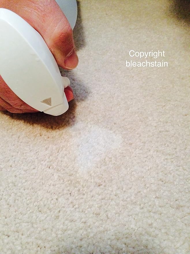 BLEACHSTAIN® Pro Spot Dye Kit | Restores Carpet Color from discolorations on All Shades and Colors of Nylon Carpeting