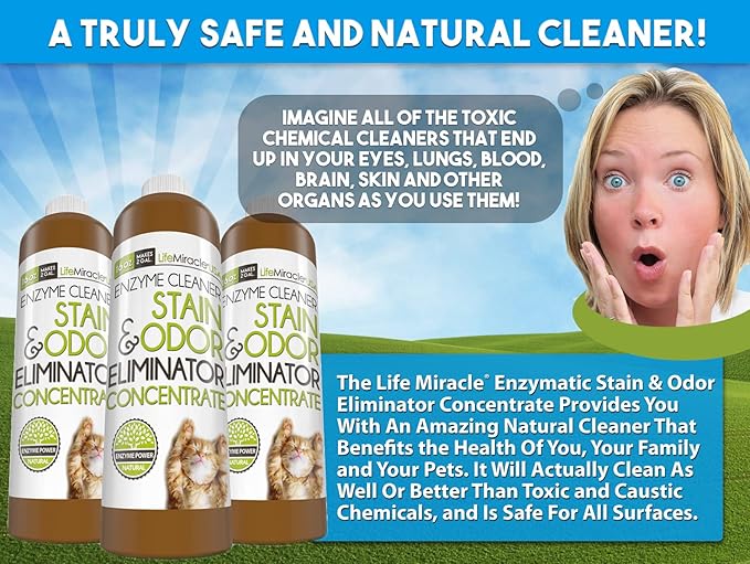 Life Miracle Enzyme Cleaner &amp Pet Odor Eliminator CONCENTRATE | Deep Cleaning Enzymatic Spot Remover for Dog Cat Urine Rug Carpet Upholstery Couch Car Stains &amp Smells | Makes 2 GALLONS