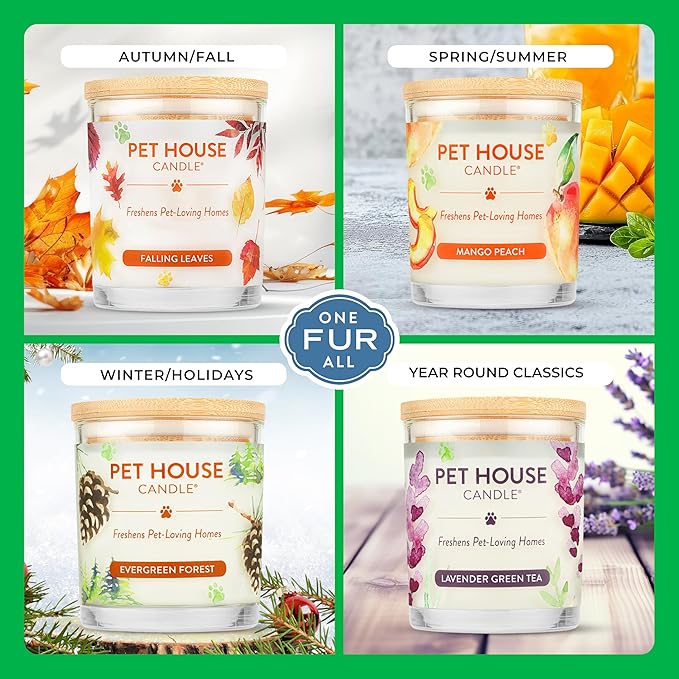 Pet House Pet Odor Candle Plant Based Scented Candle Clean Burning Long Lasting for Home Gingerbread Cookies 2 Pack