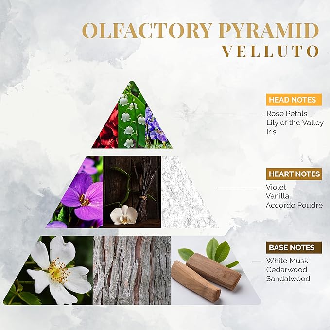 Logevy Firenze 1965 Velluto – Linen Fragrance Spray for Velvet Fabric from Master Perfumer in Italy with Floral Notes to Luxuriously freshen sheets cushions curtains clothing drawers &amp more –