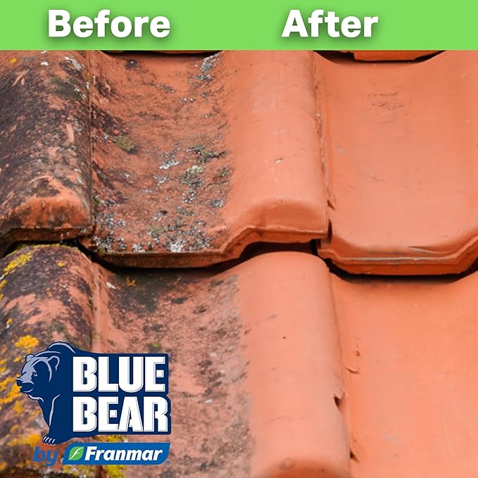 Blue Bear EBC Exterior Building Cleaner - Natural Fruit Acid Concentrate for Brick Stone Concrete &amp Metal-Removes Efflorescence Lime Residue Moss Algae &amp Dirt - Low VOC Biodegradable (1