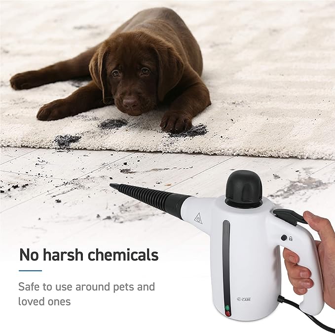 Handheld Steam Cleaner 9-Piece Accessory Set White Steamer for Cleaning Couch Cleaner Steam Cleaner Carpet and Upholstery