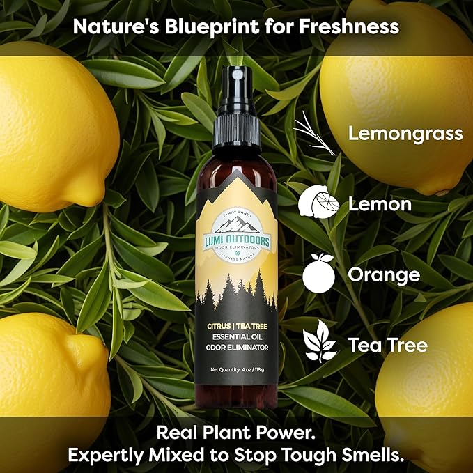 Lumi Outdoors Natural Shoe Deodorizer Spray 3 Pack Bundle - Lemon Eucalyptus Citrus Tea Tree Lavender Tea Tree