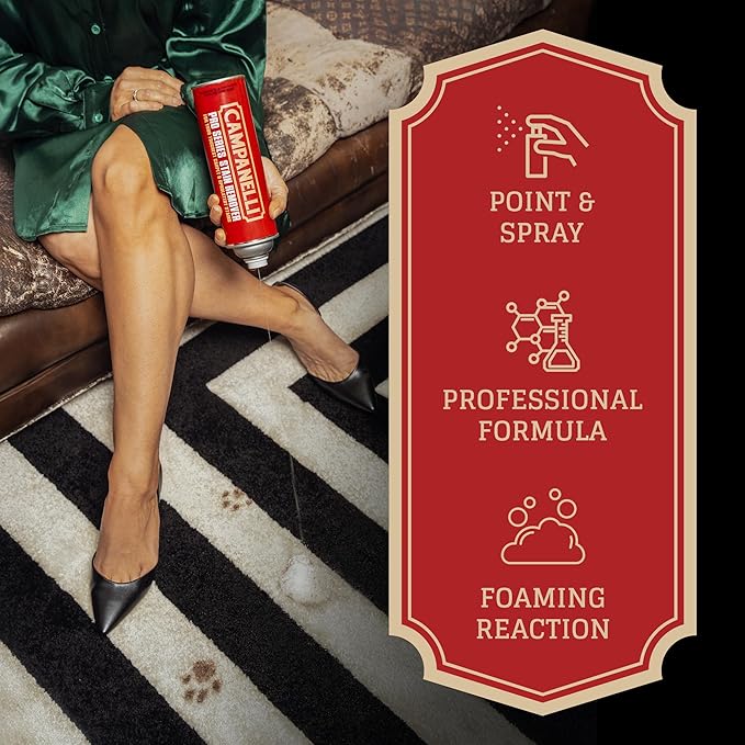 Campanelli Pro Series Stain Remover Point &amp Spray Carpet &amp Upholstery Cleaner for Pet Stains &amp Odors Food Stains Wine Coffee Dirt and More! – 18oz Aerosol