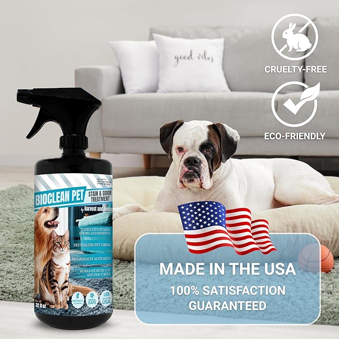 Bioclean Pet Carpet Cleaner &amp Deodorizer – Eliminates Pet Urine Smell Stain &amp Odor Remover No Residue Made in USA – 32oz