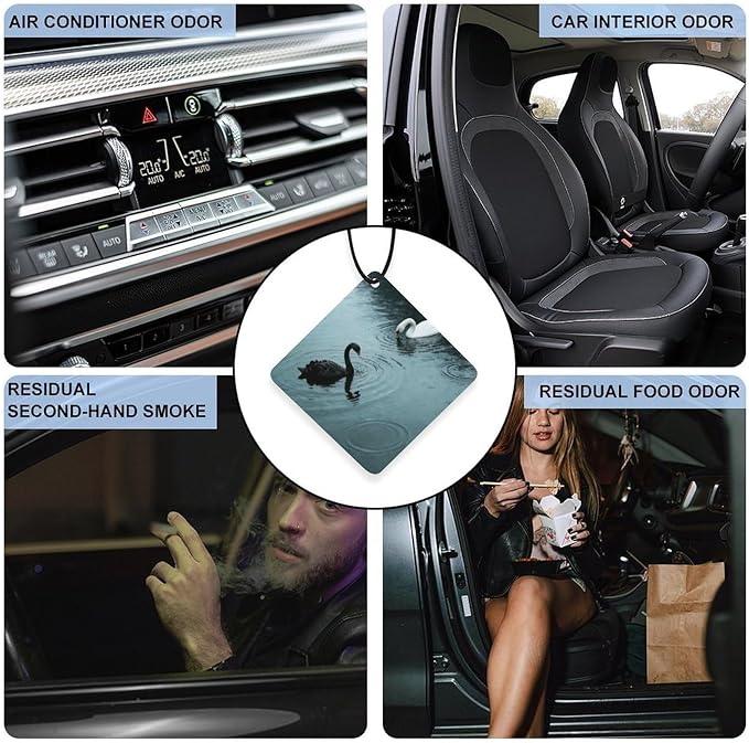 5PCS Car Air Freshener Hanging Personalized Double Sided Swans in Rain Car Fresheners Long Lasting New Cars Scents Cute Automotive Freshies for Closets Drawers (tea)