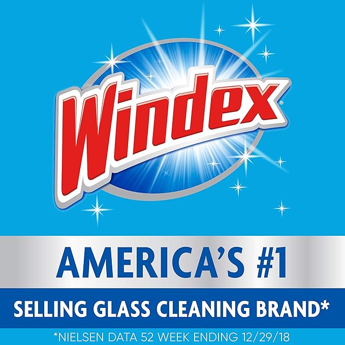 SC Johnson Professional Windex Foaming Glass Cleaner Fresh 20 oz Aerosol Spray 6/Carton (333813)