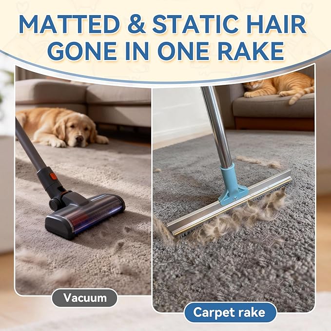 BFNN Carpet Rake for Pet Hair Removal | Reusable Dual-Action Carpet Broom Tool with Metal Scraper &amp Silicone Brush | 54 Adjustable Handle | 3Pcs Cat &amp Dog Fur Cleaning Kit for Rugs Couch &am