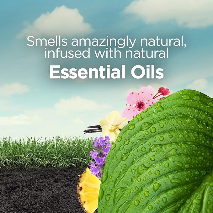 Botanica by Air Wick Plug in Scented Oil Refill 10ct Fresh Pineapple and Tunisian Rosemary Essential Oils Air Freshener Eco Friendly