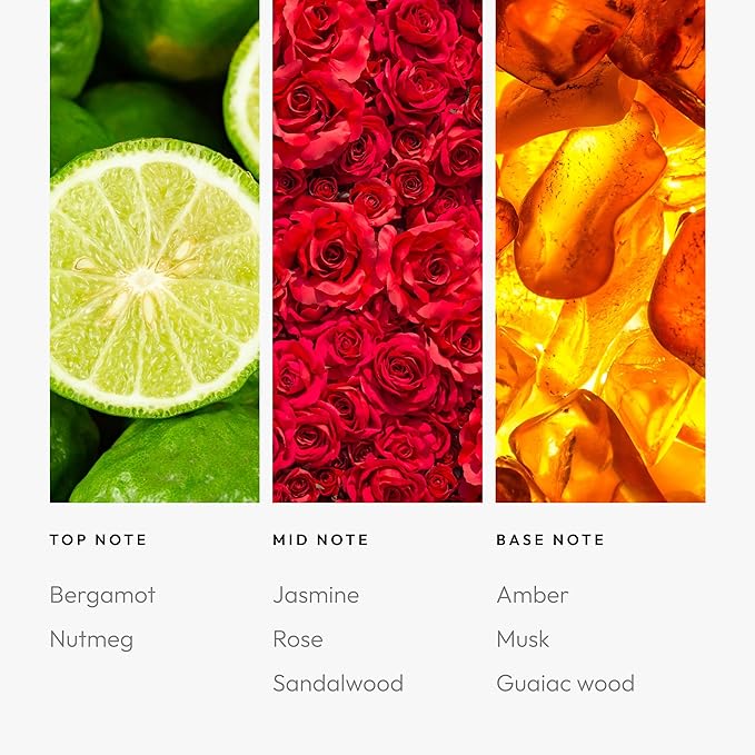 Aroma360 | Disney | Sassy Petals Fragrance Oil Blend | Daisy Duck | Luxury Aromatherapy Scent Diffuser Oil | Bergamot Rose and Amber 16.9 fl oz 500 mL