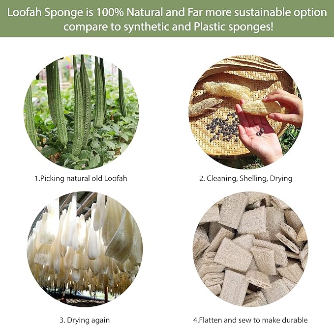Plant-Based 6pcs Kitchen Brush Set by HELLO NATURE Sustainable &amp Biodegradable Natural Fibre Bamboo Dish BrushBottle BrushPot Brush &amp 3 Natural Loofah Sponges Zero-WastePlastic Free Kitch