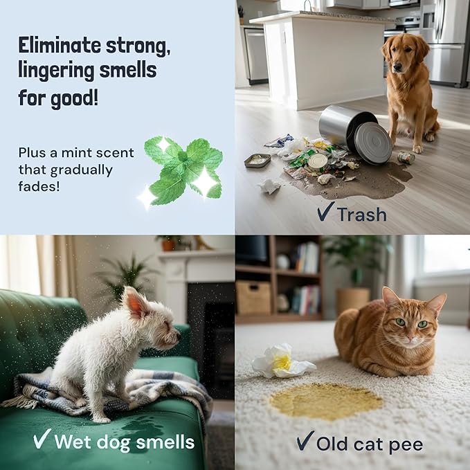 Sunny &amp Honey Pet Stain and Odor Remover - Enzyme Cleaner for Dog Urine and Poop on Carpets and Furniture - Strong Pet Carpet Cleaner Spray (1 Gallon Mint)