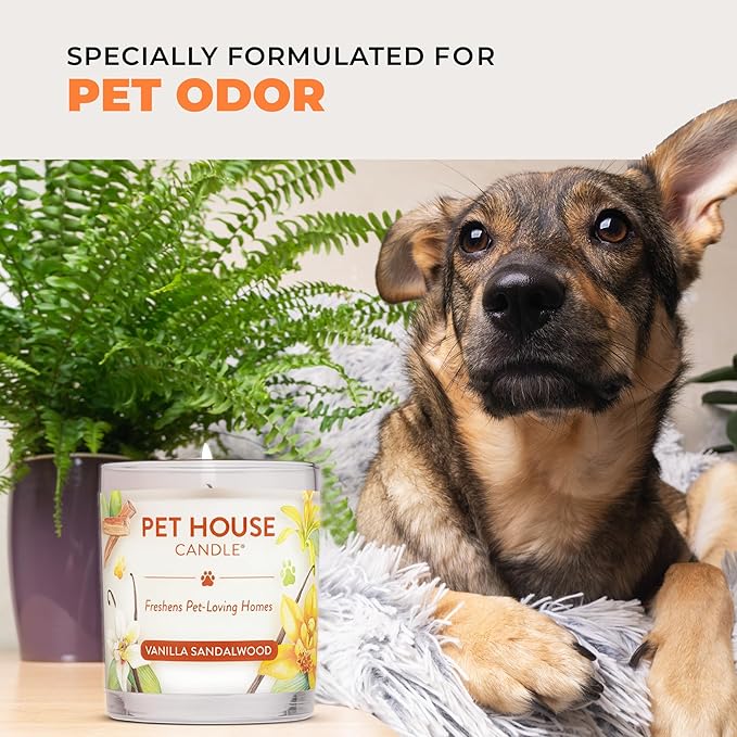 One Fur All Pet House Fall Candles Long Lasting Clean Burning Soy Wax Scented Candles for Pet Odor Orange Spice 2 Pack