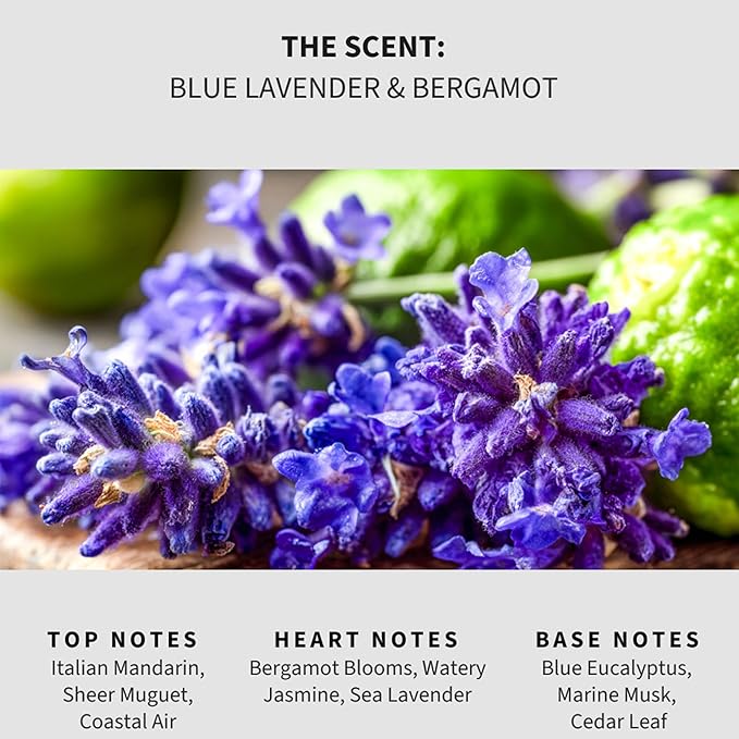 Lapew Blue Lavender &amp Bergamot Scented Mop Soap - Luxury Floor Cleaner Concentrate for Mopping Tile Laminate Vinyl &amp Hardwood | Streak-Free Low-Foam | 36 oz