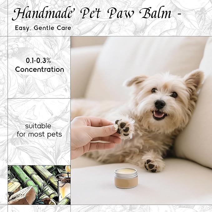 HIQILI Bamboo Fragrance Oil for Scent Diffuser Idea for Candle &amp Soap Making DIY Room Air Fresheners New Car Scent - 5.07 Fl Oz