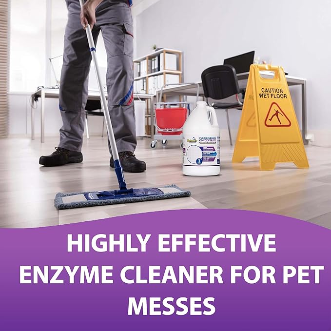 Sheiner's Multipurpose Cleaner Concentrate No-Rinse Floor Cleaner for Mopping &amp Floor Degreaser for Home Safe for Kids &amp Pets Non-Toxic Lavender Scent All Purpose Cleaner Supplies1-Gallon.
