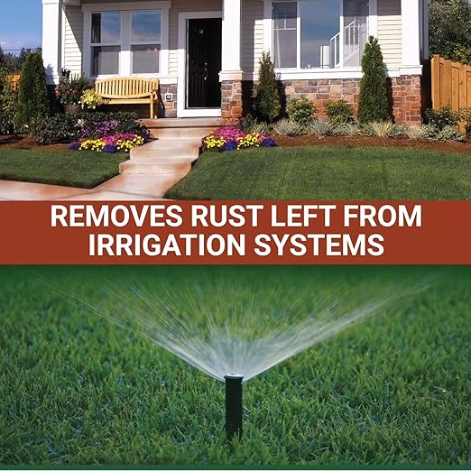 American Hydro Systems 2662 Rid O' Rust Liquid Rust Stain Remover 1 Gallon 2 Pack