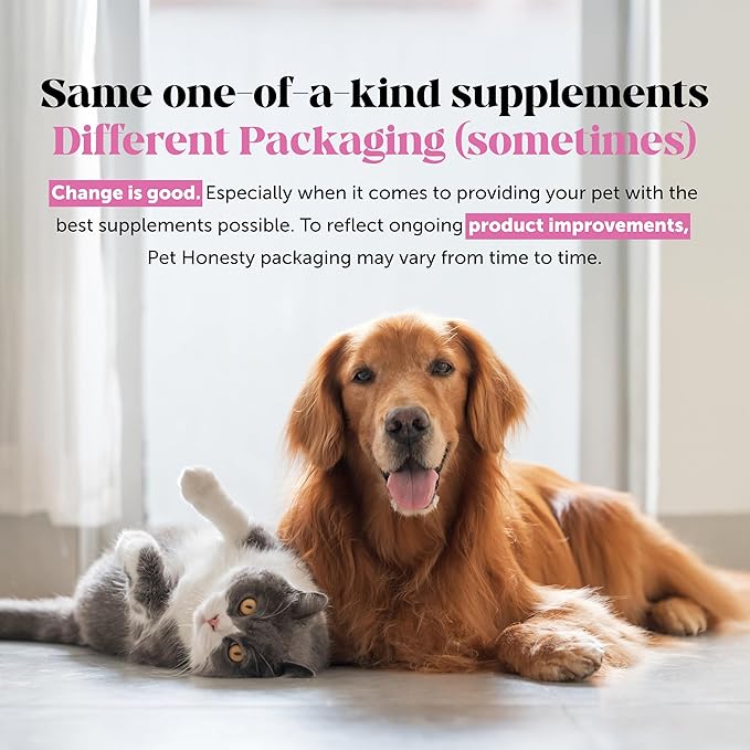 Pet Honesty Restore + Soothe 2 in 1 Shampoo + Conditioner for Sensitive Skin for Dogs &amp Cats - Dog Skin and Coat Supplement - Soothes Itching Irritation and Hot Spots (Coconut) - 16oz