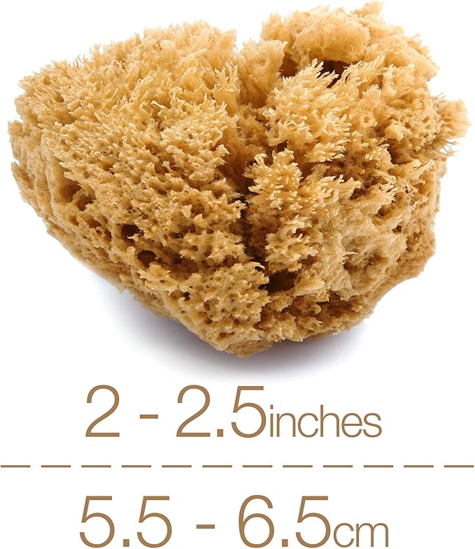 IntimateCare Sea Sponges. 3X 5.5-6.5cm Mediterranean Sponges in Plastic Free Packaging. Absolute Quality. (Natural Brown 5.5-6.5cm)