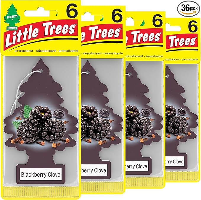 LITTLE TREES Car Air Freshener. Hanging Tree Provides Long Lasting Scent for Auto or Home. Blackberry Clove 24 Air Fresheners (Pack of 6)