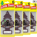 LITTLE TREES Car Air Freshener. Hanging Tree Provides Long Lasting Scent for Auto or Home. Blackberry Clove 24 Air Fresheners (Pack of 6)