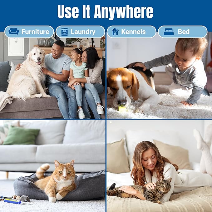 Bioclean Pet Carpet Cleaner &amp Deodorizer – Eliminates Pet Urine Smell Stain &amp Odor Remover No Residue Made in USA – 32oz