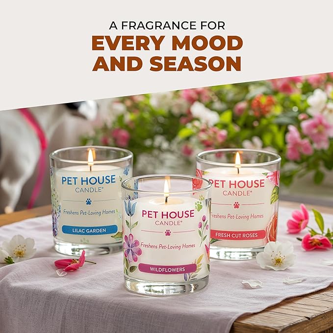 One Fur All Pet House Fall Candles Long Lasting Clean Burning Soy Wax Scented Candles for Pet Odor Pumpkin Spice 2 Pack