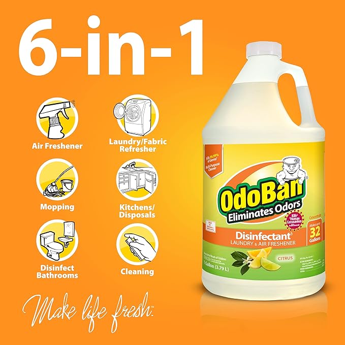 OdoBan Ready-to-Use Disinfectant and Odor Eliminator Made in the USA Citrus Scent Set of 2 32 oz Spray and 1 Gallon Concentrate