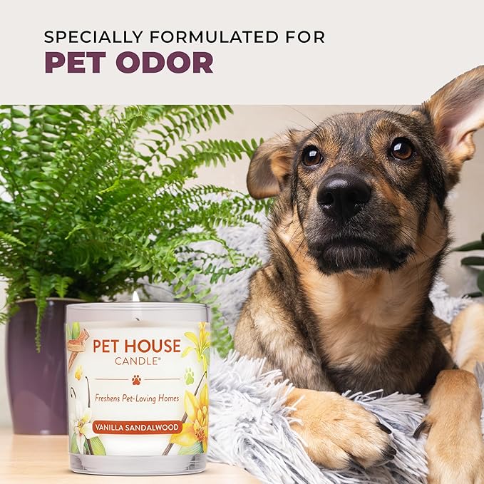 Pet House Candles Scented Pet Friendly Candles Clean Burning Plant-Based with a Natural Fiber Wick - BlackBerry Tea 9 oz 2 Pack