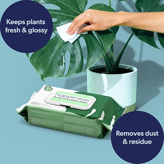 happimess WPE1000A-4SET Plant Cleaning Wipes Gently Cleans &amp Shines Houseplant Leaves Dust Remover with Aloe Vera Shea Butter &amp Chamomile 400 Count (Pack of 4)