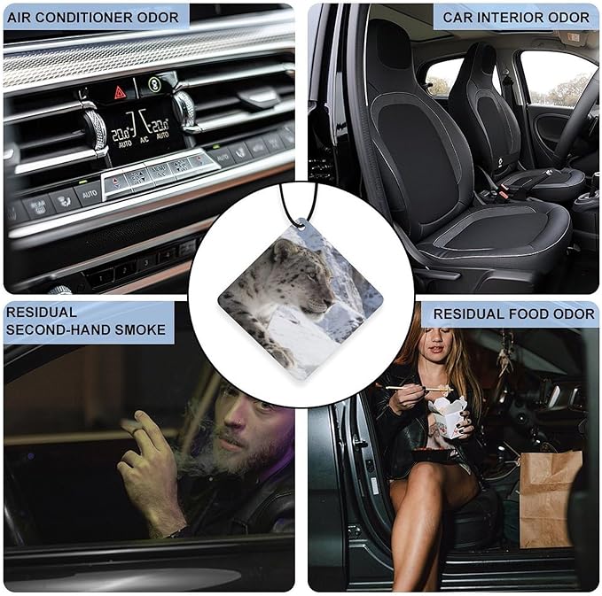 5PCS Car Air Freshener Hanging Personalized Double Sided Snow Mountains Car Fresheners Long Lasting New Cars Scents Cute Automotive Freshies for Closets Drawers (tea)