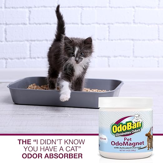 OdoBan OdoMagnet Pet Odor Eliminator with Activated Charcoal 14 Ounce 9-Pack Fresh Air Scent