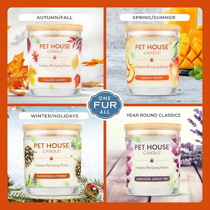 Pet House Pet Odor Candle Plant Based Scented Candle Clean Burning Long Lasting for Home Evergreen Forest
