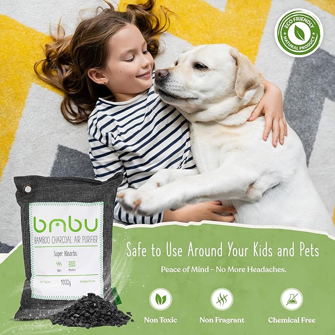1000g Large Bamboo Charcoal Air Purifier Bag - Car Deodorizer Freshener - Remove Odor and Control Moisture in Your RV Camper SUV Truck Closet Mobile Home Storage - Non fragrant 1kg