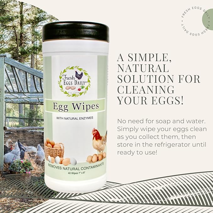 Fresh Eggs Daily Egg Wipes – Enzyme-Based Egg Cleaner for Backyard Chickens No Rinse Needed Natural Enzyme Formula - Natural Cleaning Wipes (2-Pack)
