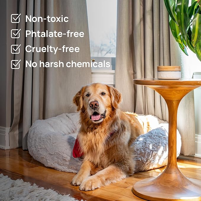 Azuna Air Freshener &amp Odor Eliminator for Strong Odor | 2 Room Kit Includes (2) 8 oz. Empty Luxe Glass Jars &amp 12 oz | Refill with Tea Tree Essential Oil Gel | Amalfi Breeze | Last 60-90 Days