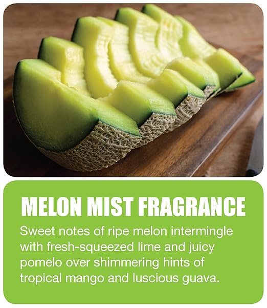 Big D 181 The P.O.D. Passive Odor Dispenser Refill Melon Mist Fragrance White (Pack of 24) - Lasts up to 45 Days - Air freshener Ideal for restrooms Cars Boats Closets Small confined Areas
