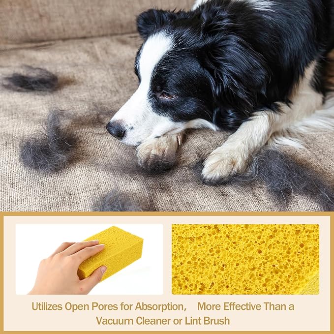 8 Pack Pet Hair Lifter Remover Sponge Cat and Dog and Other Pet Hair from Furniture Carpet Bedding and Clothing Removal Tool 5.91 x 2.76 x 1.57 Inches