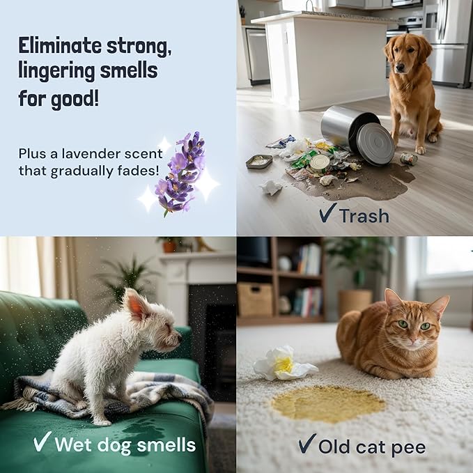Sunny &amp Honey Pet Stain and Odor Remover - Enzyme Cleaner for Dog Urine and Poop on Carpets and Furniture - Strong Pet Carpet Cleaner Spray (1 Gallon Lavender)