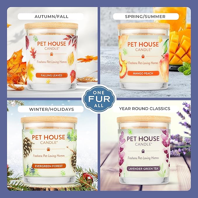 Pet House Candles Plant Based Cookie Scented Candle Clean Burning Long Lasting for Home Snowfall