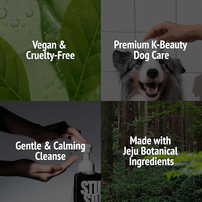 Vegan Dog Shampoo - Inspired by K-Beauty Luxury Spa Care Long-Lasting Scent High-Concentrate Rich Lather Deep Cleaning &amp Odor Control 500ml (Blush Garden)