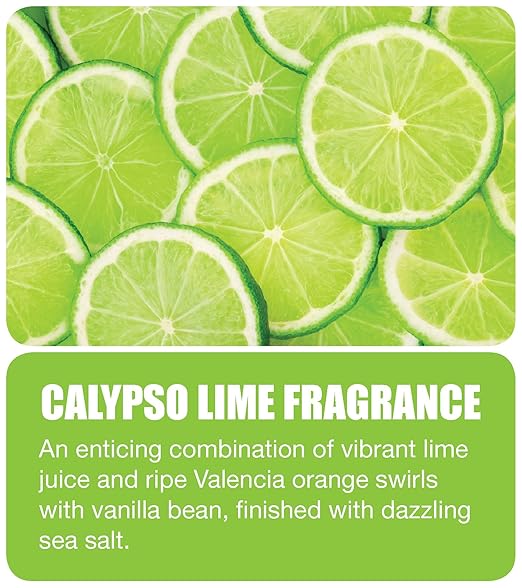 Big D 486 Concentrated Room Deodorant for Metered Aerosol Dispensers Calypso Lime Fragrance 7 oz (Pack of 12) - Air freshener ideal for restrooms offices schools restaurants hotels stores