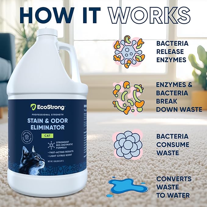 Eco Strong Cat Stain And Odor Remover| Enzyme Urine Odor Neutralizer - Stain Remover for Carpet Litter Boxes Bedding and Laundry [Citrus Scent Gallon Value Size]
