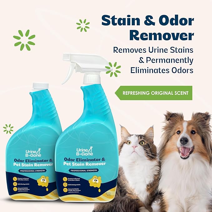 Urine B-Gone Professional Enzyme Odor Eliminator &amp Pet Stain Remover Human Cat &amp Dog Urine Cleaner Effective on Laundry Carpets &amp More Original Scent 32oz Pack of Two