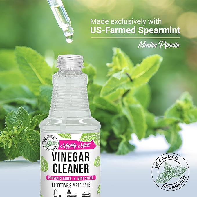 Mighty Mint Vinegar Cleaner All-Purpose Spray Natural Spearmint Scent 16oz - 2 Pack