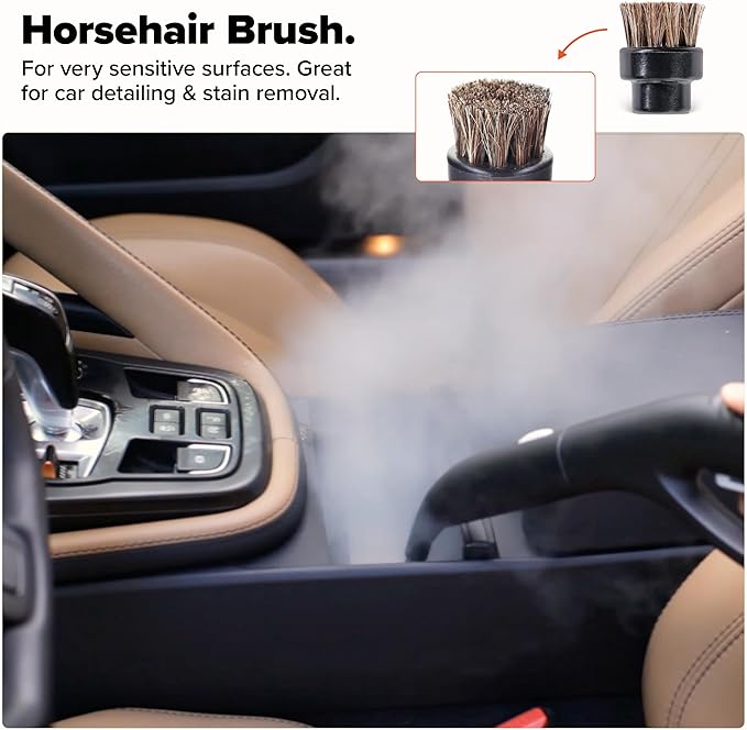 Dupray Small Brushes – Brass Horsehair Nylon &amp Stainless Steel Accessory Parts for Steam Cleaner – Brush Head for Cleaning Grout Tile Oven Car BBQ Kitchen and Bathroom (10) (Assorted Brushe